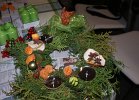 DSC00007