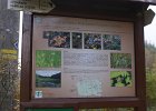 DSC00007