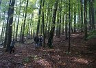 DSC00065