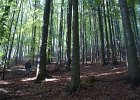 DSC00067