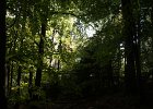DSC00071