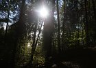 DSC00072