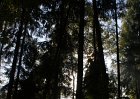 DSC00073