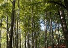 DSC00074