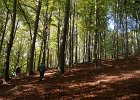 DSC00075