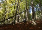 DSC00076