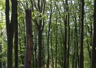 DSC00081