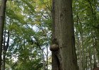 DSC00085