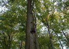 DSC00087