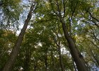 DSC00088
