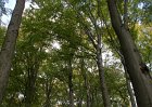 DSC00089