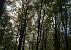 DSC00090