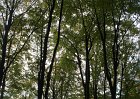 DSC00091