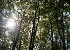 DSC00094