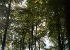 DSC00097