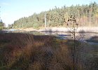 DSC00131