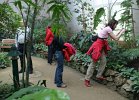 DSC00036