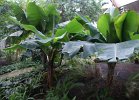 DSC00058