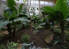 DSC00079