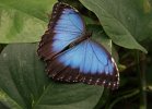 DSC00108