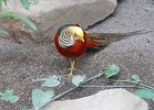 DSC00119