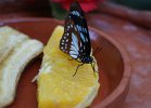 DSC00139