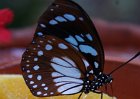 DSC00141