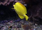 DSC00165