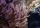 DSC00206