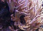 DSC00208