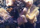 DSC00209