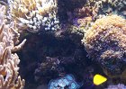 DSC00211