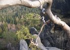 DSC00255