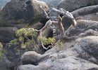DSC00256