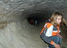 DSC 0235