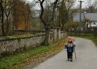DSC 0325